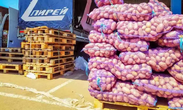 Более чем на 30% подорожала картошка за месяц в Воронежской области