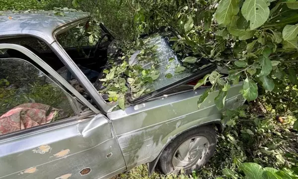 В Воронежской области ВАЗ врезался в дерево: 69-летний водитель погиб