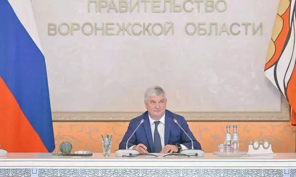 Районный опыт развития спорта заслушали в правительстве Воронежской области