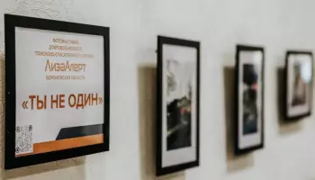 &laquo;Ты не один&raquo;: фотовыставка поискового отряда &laquo;ЛизаАлерт&raquo; открылась в Борисоглебске