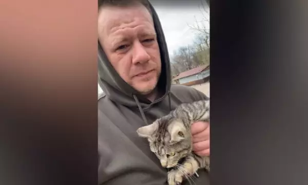 Спасательная операция: в городском парке Лисок Воронежской области с верхушки дерева сняли кота Тишку