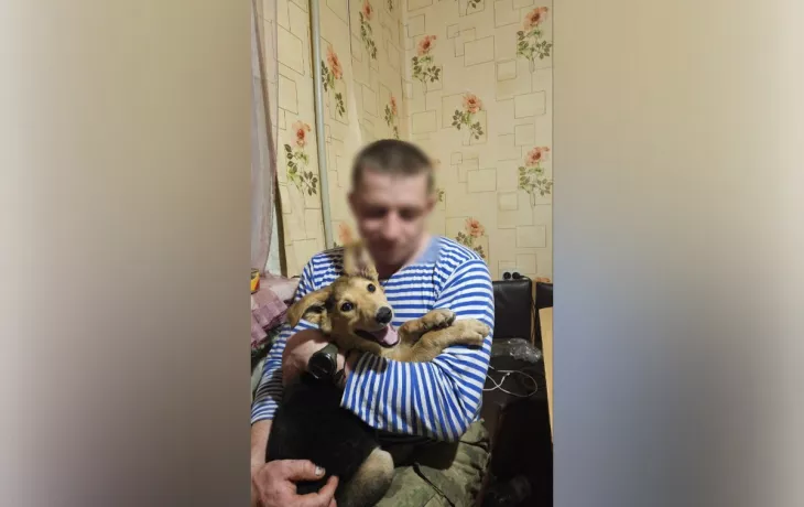 Паук и Буба