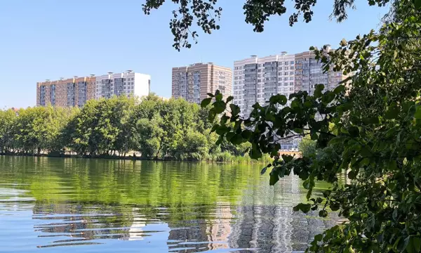 Возвращение дождей и труп на остановке. Главные новости Воронежа и области за 19 сентября