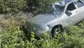 В Воронежской области водитель ВАЗ сбил косулю и попал в больницу