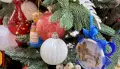 Хохольцев пригласили к участию в конкурсе елочных игрушек