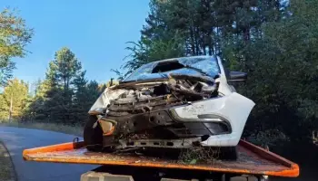 В Воронежской области пьяная женщина на &laquo;Ладе&raquo; вылетела с дороги: пострадала пассажирка