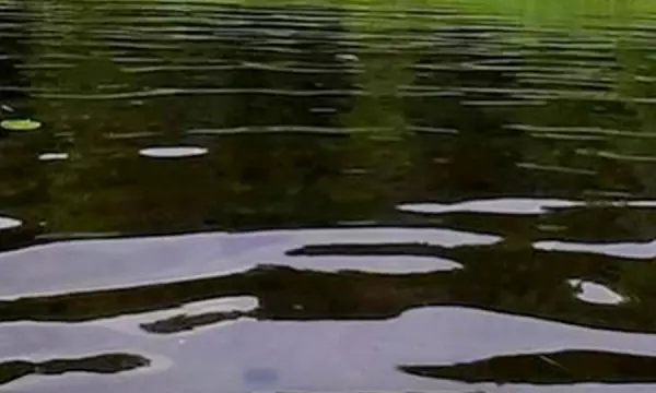 Тело мужчины нашли в воронежской реке Икорец