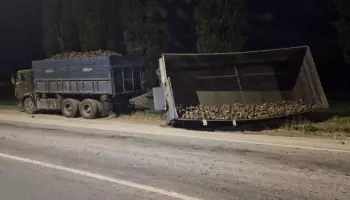 В Воронежской области легковушка врезалась в дорожный знак из-за сахарной свеклы на дороге