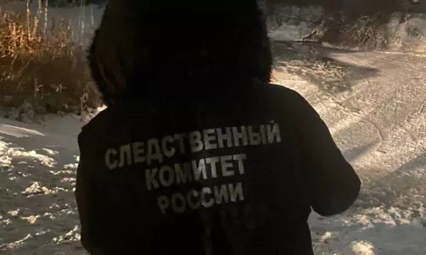 Под Воронежем двое мальчиков провалились под лед и утонули