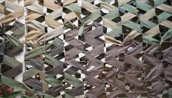 Более 1 тыс. патронов и 11 гранат нашел на заброшенном блокпосту житель Воронежской области