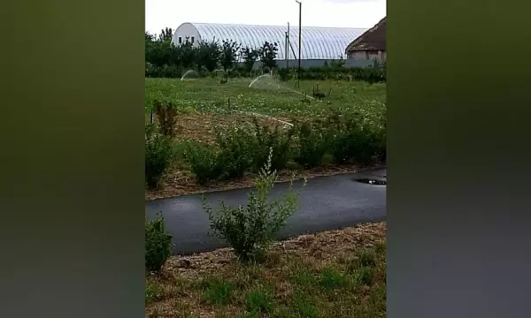 В сквере Кантемировки оборудовали автополив растений