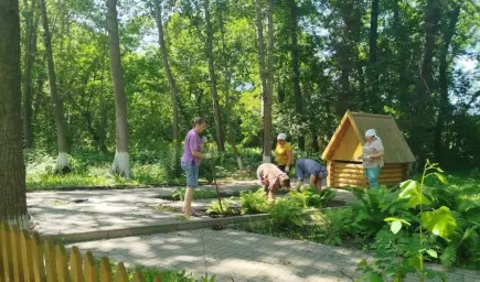 В верхнемамонском селе Лозовое продолжили благоустраивать родник