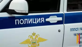 Сова, барсук и угрозы убийством: как мошенники лишили воронежского мастера 22,8 млн рублей