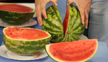 Выяснилось, какой арбуз категорически нельзя покупать