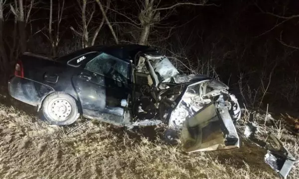 В Воронежской области &laquo;Лада Приора&raquo; вылетела в кювет и врезалась в дерево