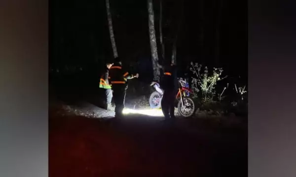 Туман и дикие животные: волонтеры рассказали о поисках 49‑летнего воронежца, который ушел за грибами
