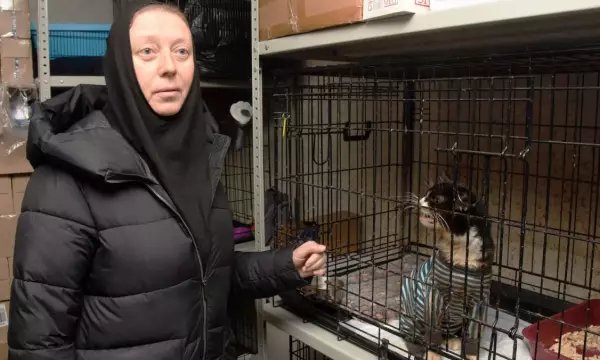 Монахиню, помогавшую животным, выгнали из перехода у ТРЦ в Воронеже