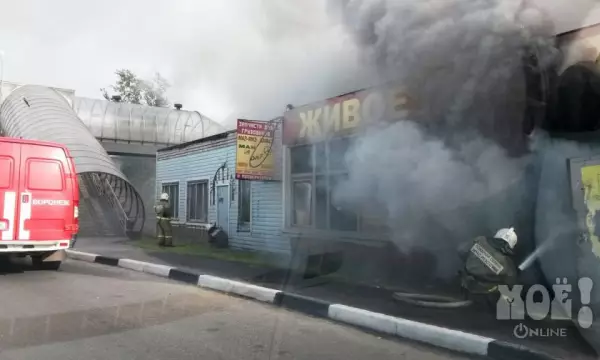 Главное за ночь. Отец поджёг дом с собственными детьми, пять бомбоубежищ продают в Волгограде.