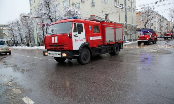 На пожарах в Воронежской области погибли более 100 человек