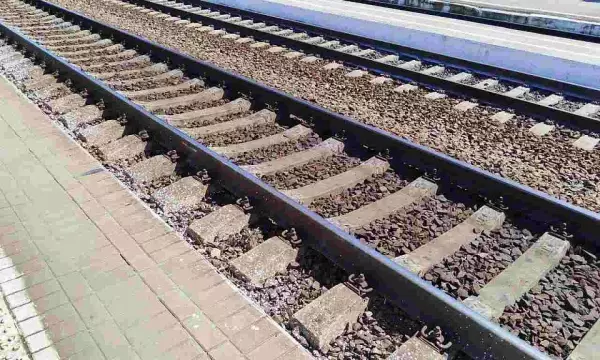В Воронежской области спровоцировавшая ЧП на железной дороге жительница потребовала от РЖД машину