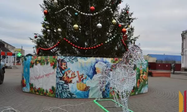 В центре Богучара установили символ 2026 года