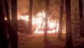 Под Воронежем ночью сгорела сауна в загородном клубе &laquo;Елки&raquo;: видео