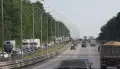 ДТП с автобусами и рухнувшее на машины дерево. Главные новости Воронежа и области за 26 мая
