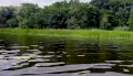 Воронежец в заповеднике нашел утонувшую в песке машину