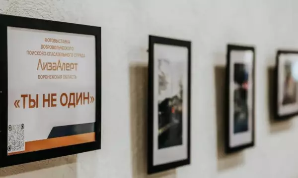 &laquo;Ты не один&raquo;: фотовыставка поискового отряда &laquo;ЛизаАлерт&raquo; открылась в Борисоглебске