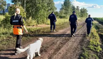 Воронежские добровольцы помогли найти 3-летнюю девочку, которая потерялась в поле с подсолнухами