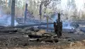 Главное за ночь. Труп пролежал в автомобиле 4 дня , в Геленджике из-за падения БПЛА загорелся лес.