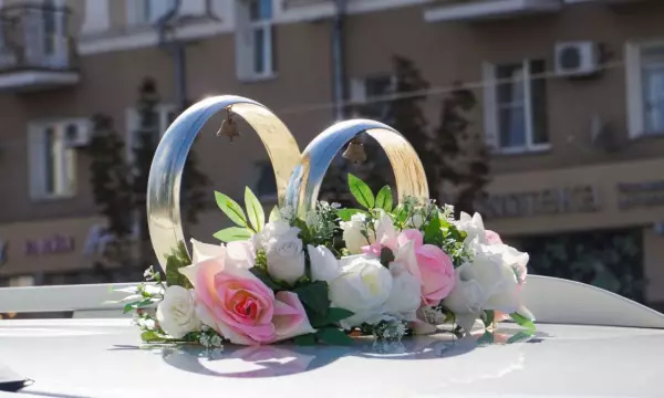 Главное за ночь. Пенсионер залез на мёртвого кита, а женщина при разводе узнала, что не была замужем