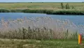 В Лисках Воронежской области в реке Дон утонул 47-летний мужчина
