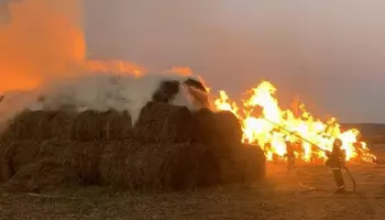 Сгорели 750 тюков сена в воронежском селе Коротояк