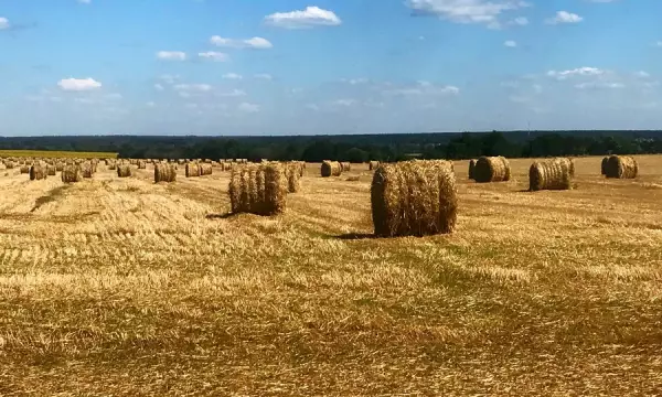 При пожаре в воронежском селе сгорели 8 тонн сена и 12 тонн соломы