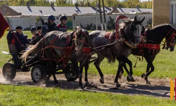 &laquo;Национальное достояние страны&raquo;: в Воронежской области отпраздновали 250-летие Хреновского конного завода
