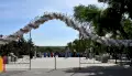 В Верхнем Мамоне открыли обновленный парк &laquo;Песни над Доном&raquo;