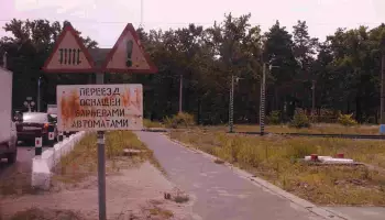 После ДТП на переезде дело возбудили в Воронежской области