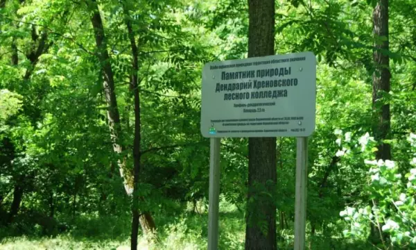 Хреновской лесной колледж Бобровского района пригласил на экскурсию в дендрарий