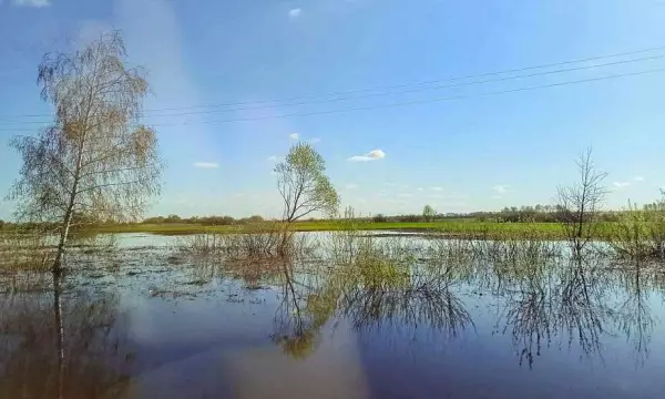 Разлив реки привёл к закрытию кафе и лавки в парке &laquo;Нелжа&raquo; под Воронежем