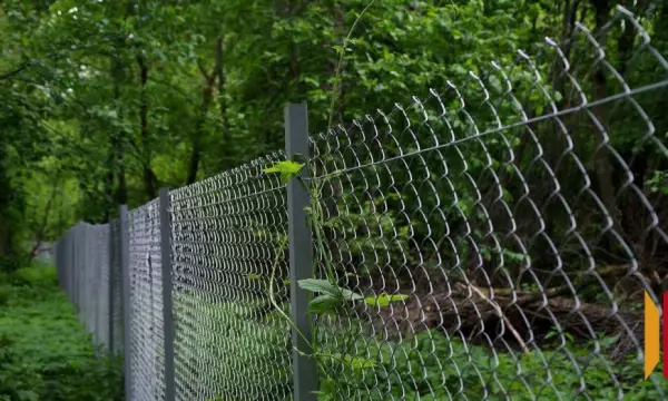 Под Воронежем прокуратура выявила нецелевое использование земельных участков