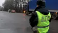 Главное за ночь. В ДПТ под Тюменью погибли 7 человек, медведь разгромил дом красноярского чиновника.