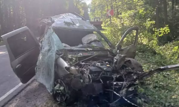 В Воронежской области &laquo;Лада&raquo; вылетела с дороги: погибли 2 человека