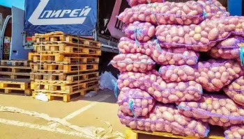 Резко подорожали капуста и картошка в Воронежской области