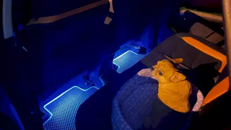 Светодиодная подсветка салона автомобиля: просто, стильно, эффектно
