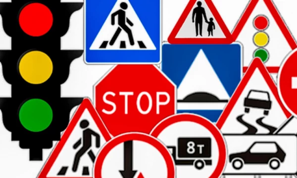 В Воронеже полиция оштрафовала припарковавшего на зебре автохама