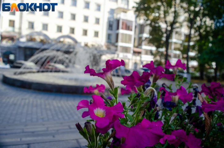 Фонтан в Петровском сквере