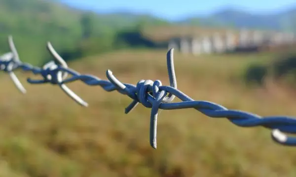 В Норвегии рассказали, планируются ли минирование границы с Россией